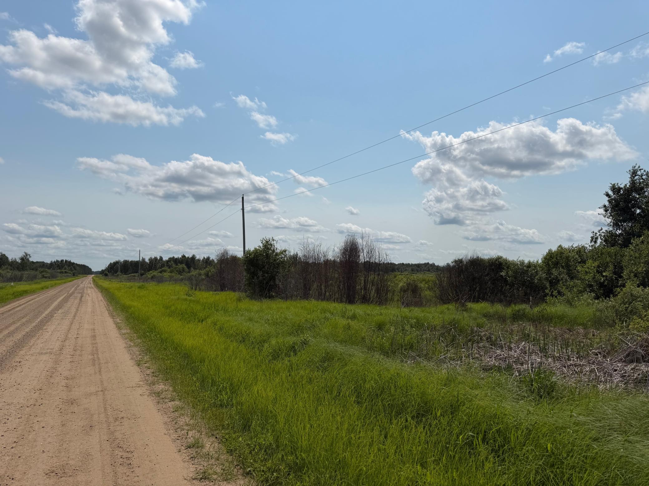 Tbd Bunny Hill Road Sebeka, MN 56477 - Photo 12 of 23