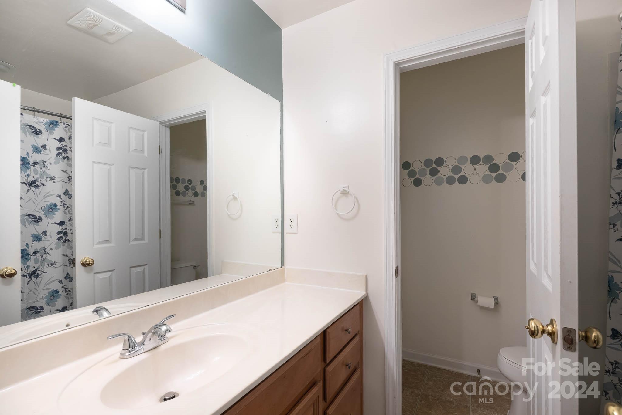 1681 Alpine Ridge Place Rock Hill, SC 29732 - Photo 11 of 20 a bathroom with a sink and a mirror