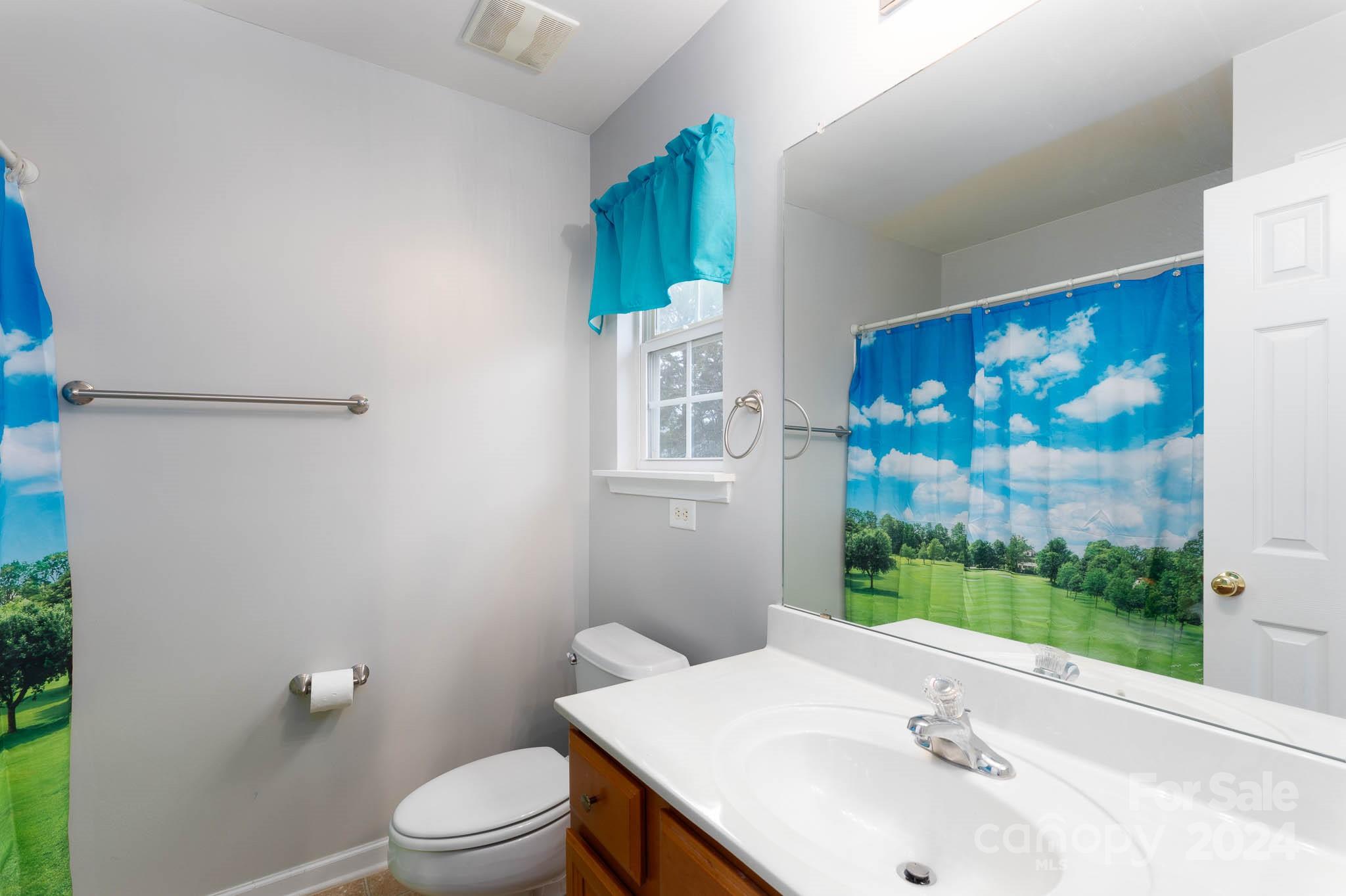 1681 Alpine Ridge Place Rock Hill, SC 29732 - Photo 14 of 20 a bathroom with a sink toilet and mirror