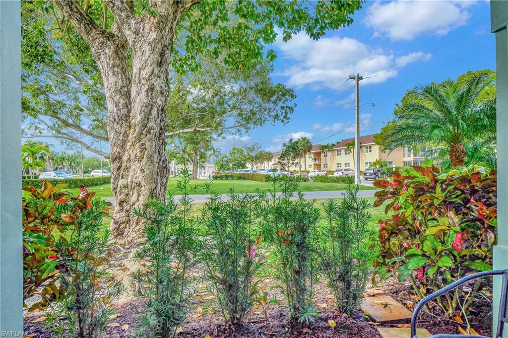 603 12th Avenue South Naples, FL 34102 - Photo 29 of 47 a view of a garden with plants