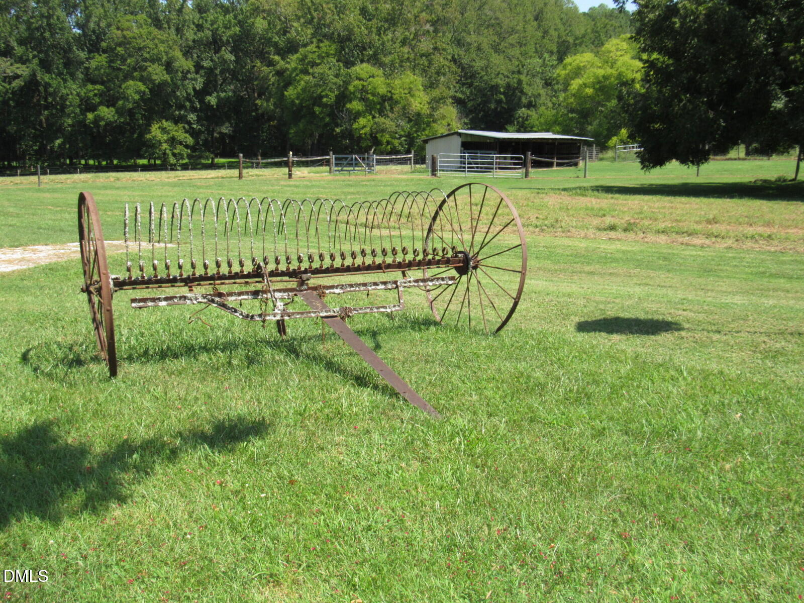 Field