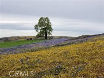 a kitchen with stainless steel appliances granite countertop a refrigerator a stove a sink and a microwave