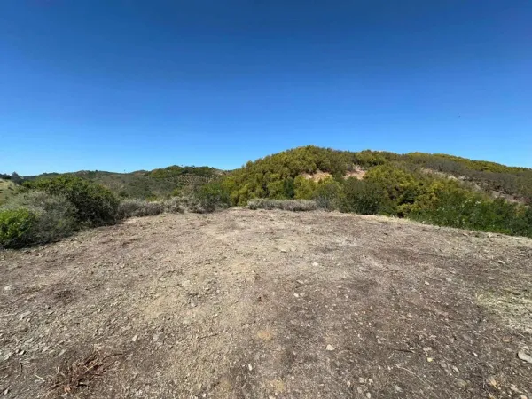 a view of a mountain range with trees