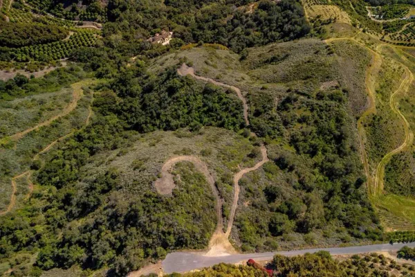 a view of a dry yard with trees