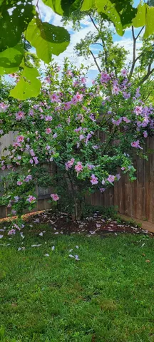 $450,000 | 105 King Lane, Des Plaines, IL 60016