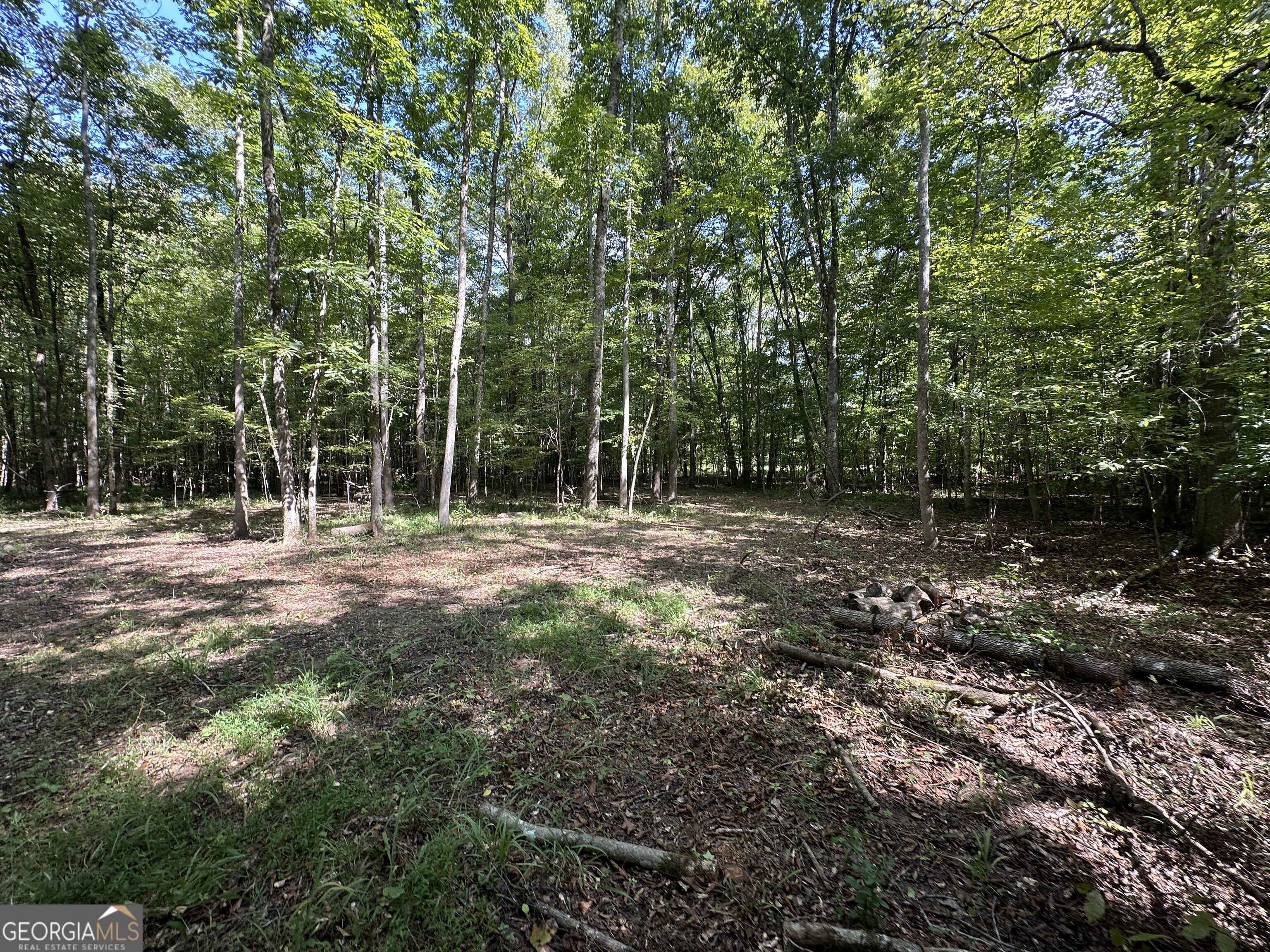 119 Hough Johnson Road Haddock, GA 31033 - Photo 25 of 39 Gallery Image 25