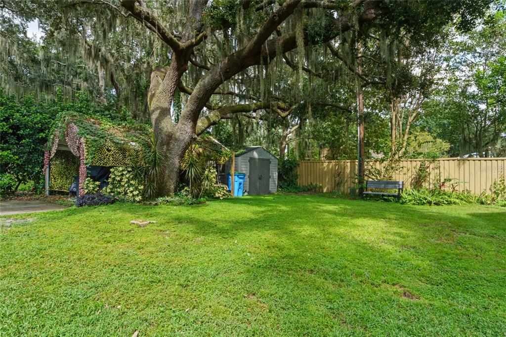 715 Magnolia Street Windermere, FL 34786 - Photo 36 of 44 a backyard of a house with plants and large tree