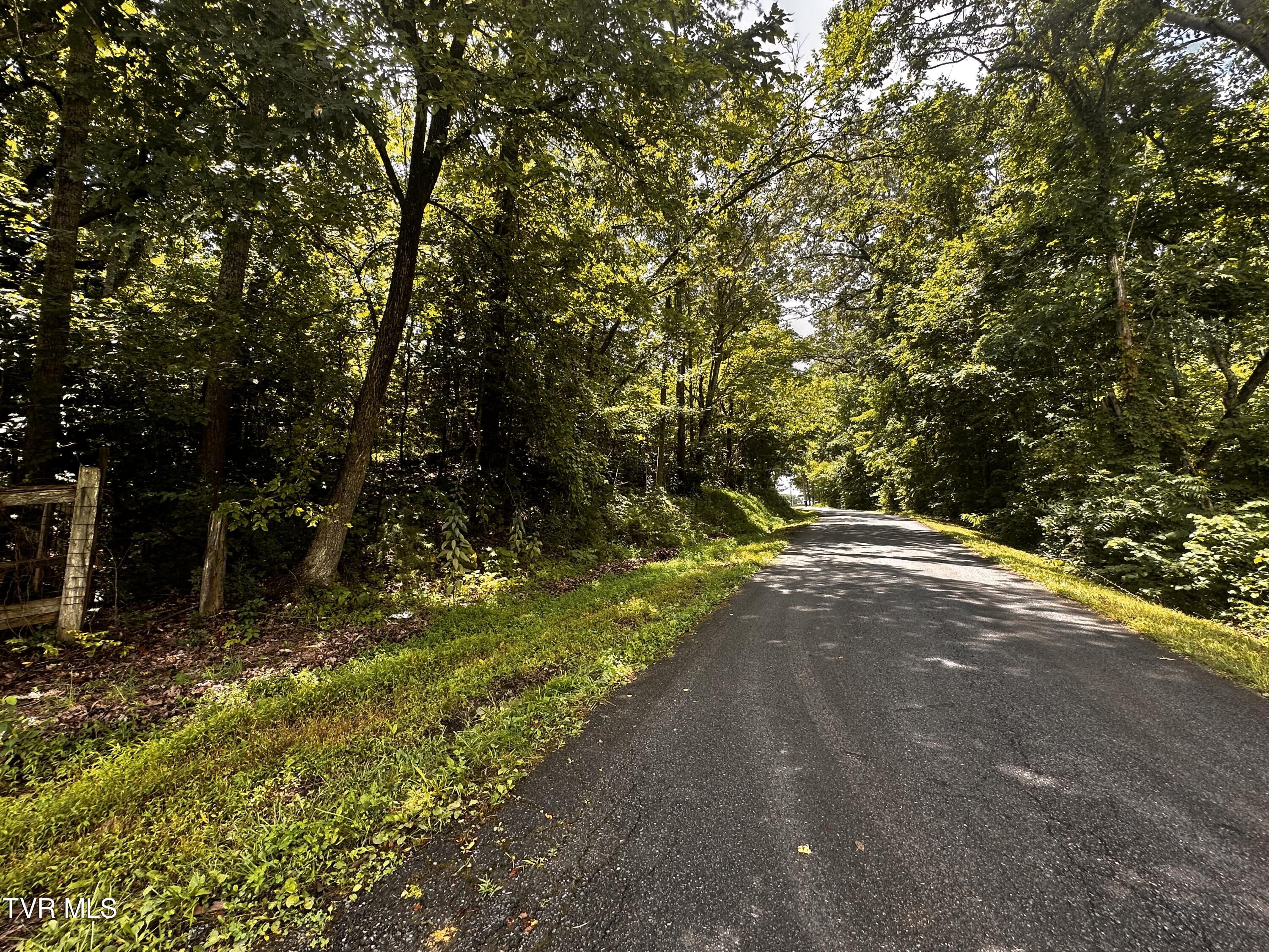 1.86 Cocke County Road Greeneville, TN 37743 - Photo 8 of 12 IMG_6527