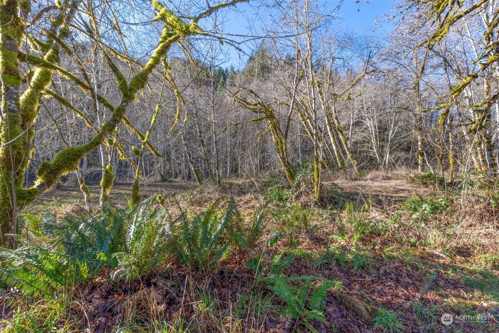 1953 Abernathy Creek Road Longview, WA 98632 - Photo 29 of 32