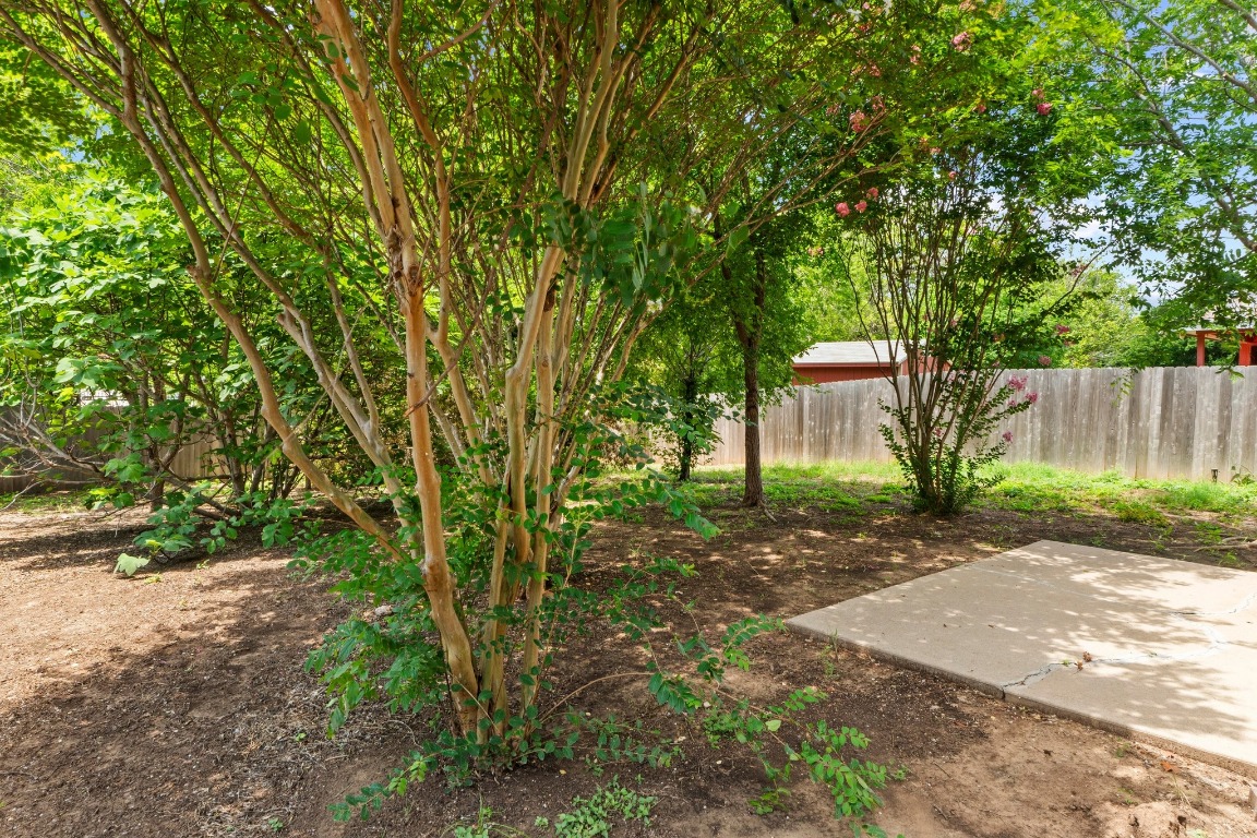 4608 Acers Lane Austin, TX 78725 - Photo 24 of 26 The tree-filled backyard is well shaded and includes a delicious fig tree.