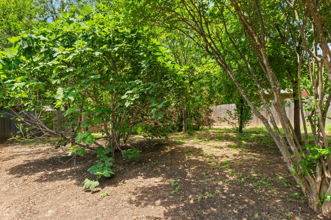 4608 Acers Lane Austin, TX 78725 - Photo 25 of 26 Fully fenced for privacy and security with plenty of room for outdoor enjoyment.