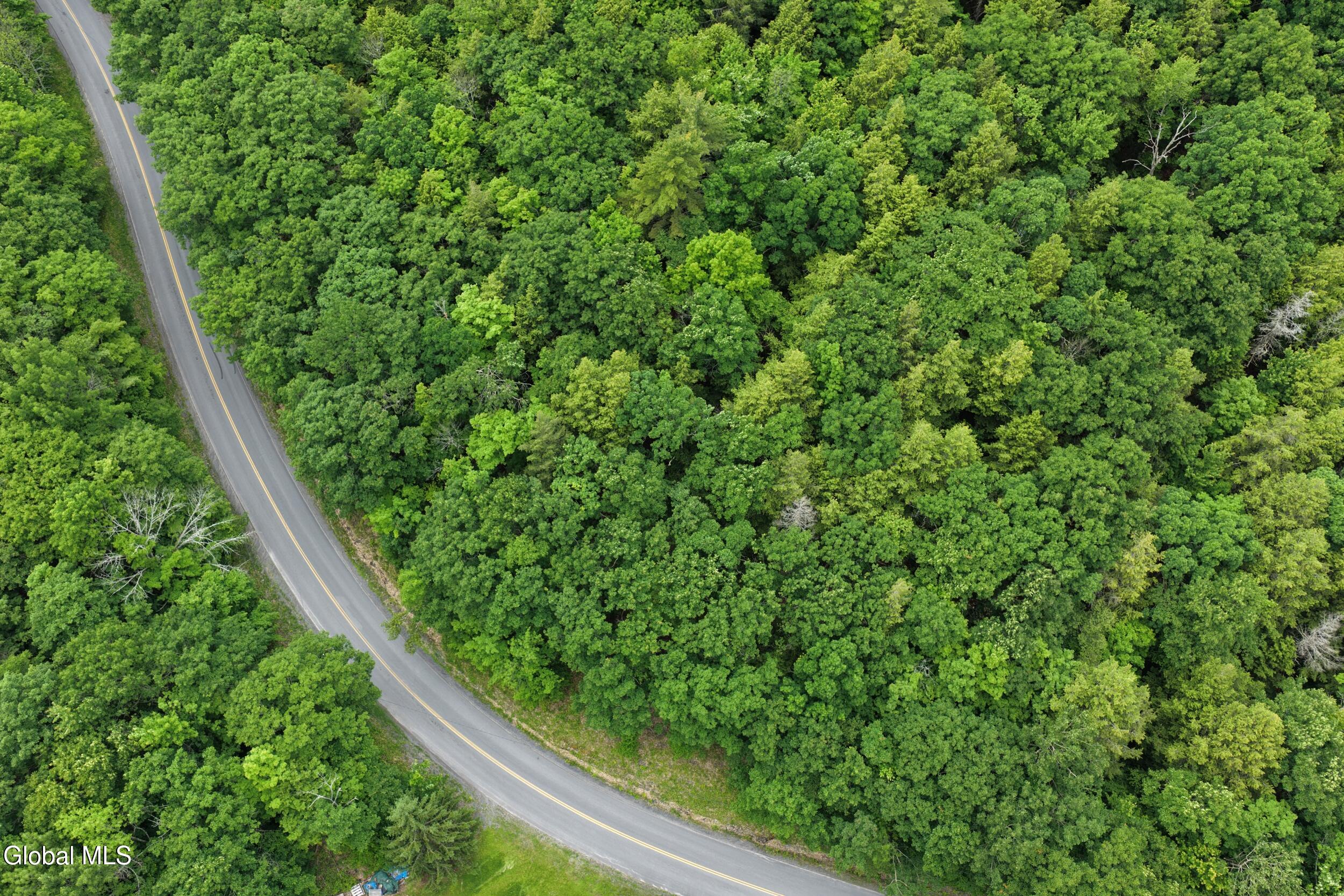 L1.00 Cotton Hill Road Middleburgh, NY 12122 - Photo 2 of 17 dji_20260616013602_0048_d