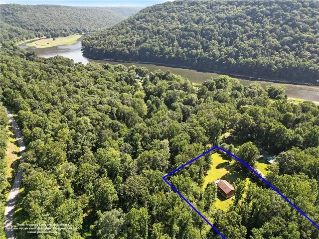 a view of a yard with plants