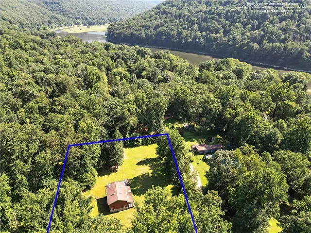 a view of a garden with lawn chairs