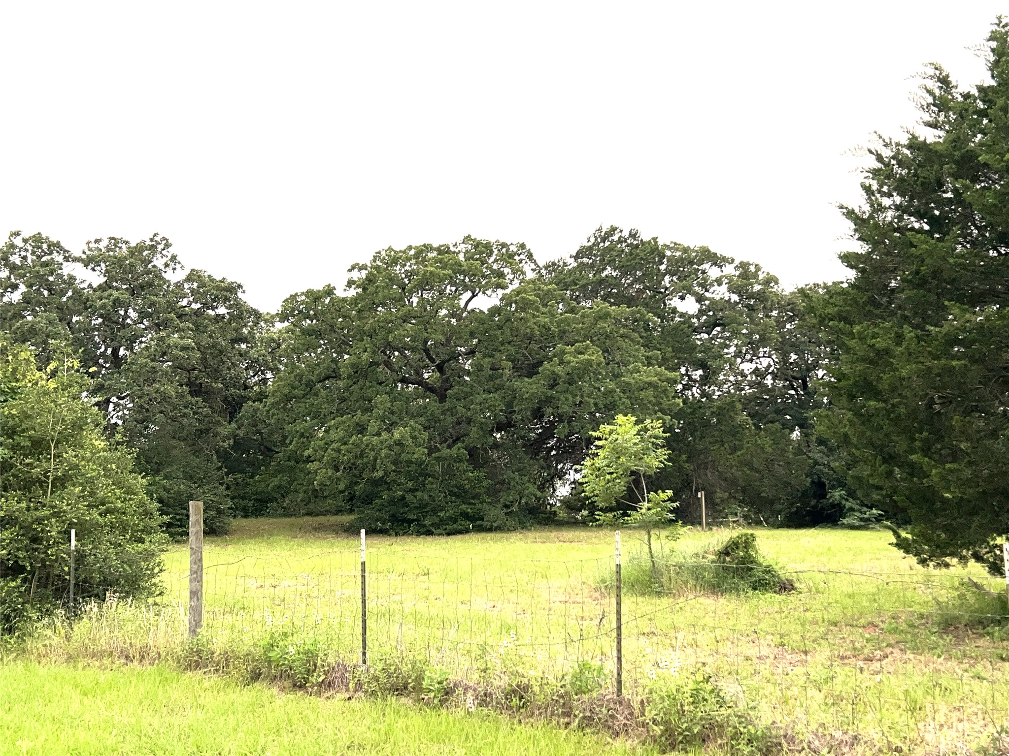160 Rosanky Cattle Company Road, Unit R Smithville, TX 78957 - Photo 10 of 19 a view of a yard