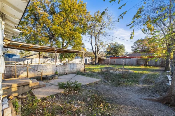 a view of backyard with tree