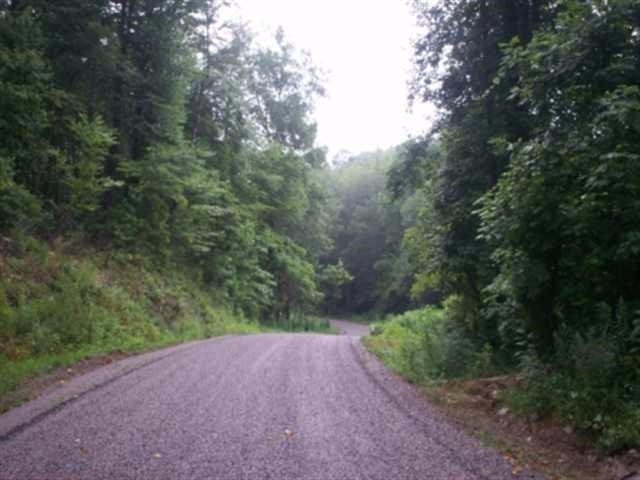 7 Mt Pleasant Road Vonore, TN 37885 - Photo 1 of 7 a view of a road with plants and trees