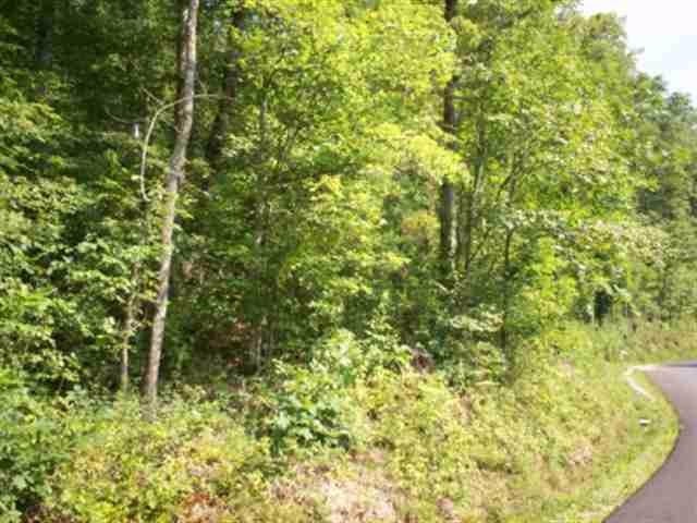 7 Mt Pleasant Road Vonore, TN 37885 - Photo 2 of 7 a view of a forest with a tree