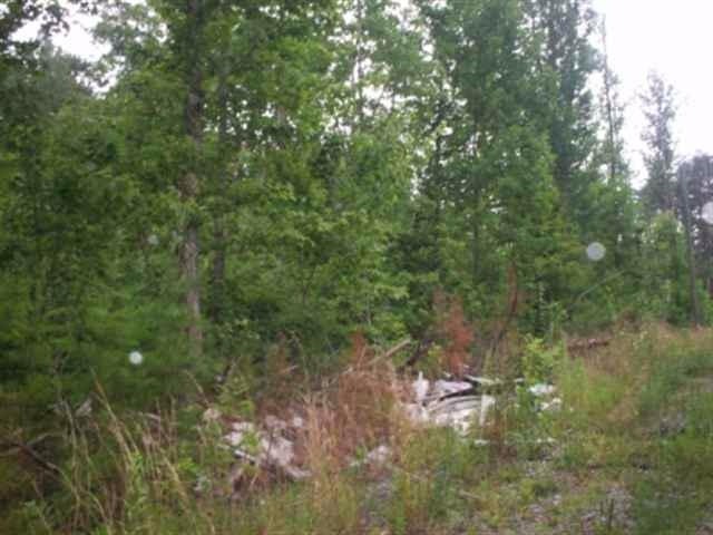7 Mt Pleasant Road Vonore, TN 37885 - Photo 6 of 7 a view of a forest