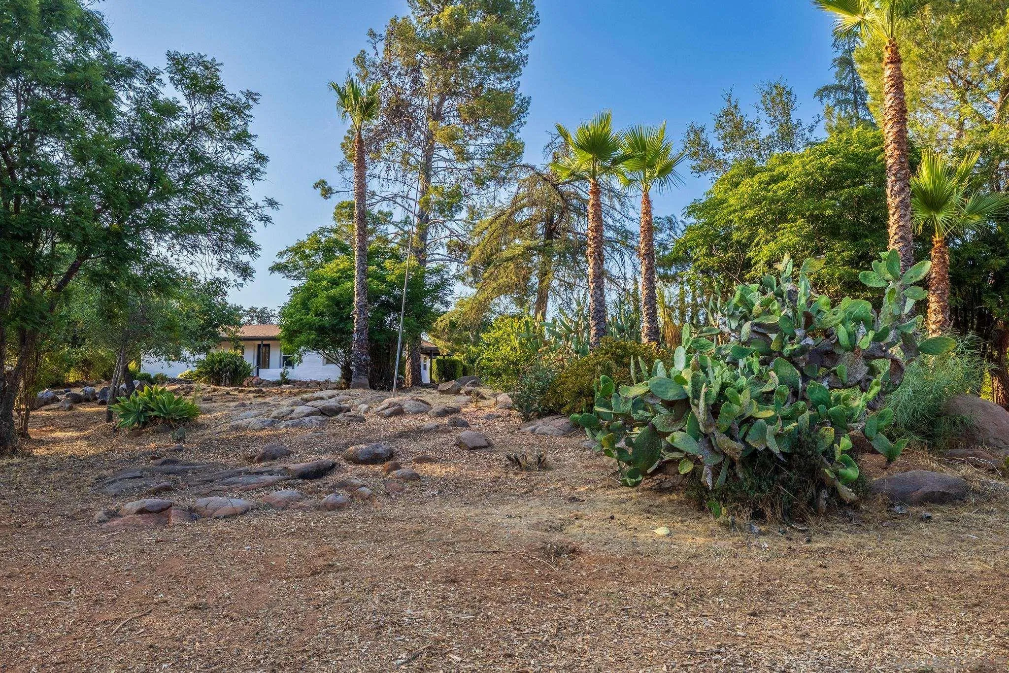 1230 Arnold Way Alpine, CA 91901 - Photo 50 of 60 a view of a out door space area