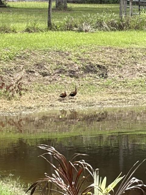 6289 South Header Canal Road Port St. Lucie, FL 34987 - Photo 23 of 52 Pond
