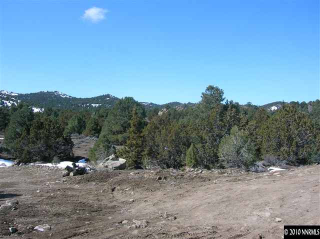 4540 Lousetown Road Reno, NV 89521 - Photo 4 of 9 a view of a covered with trees in the background