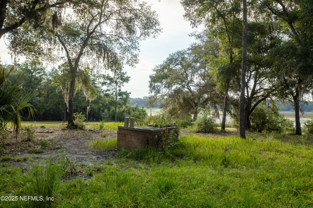 a view of a backyard with large trees