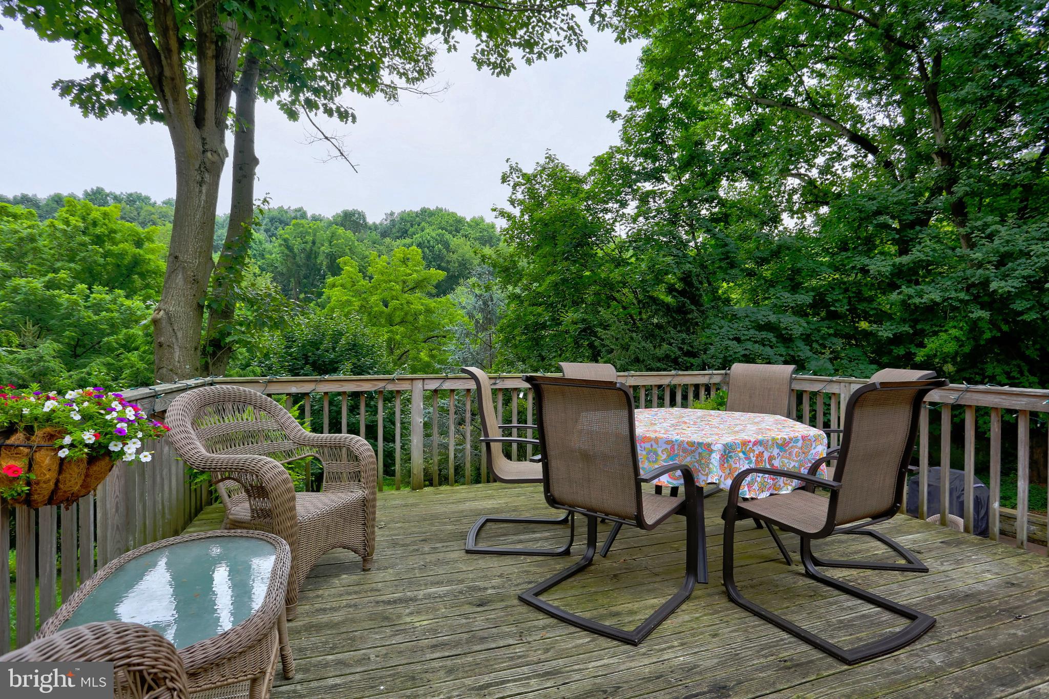 356 Rudy Dam Road Lititz, PA 17543 - Photo 61 of 67