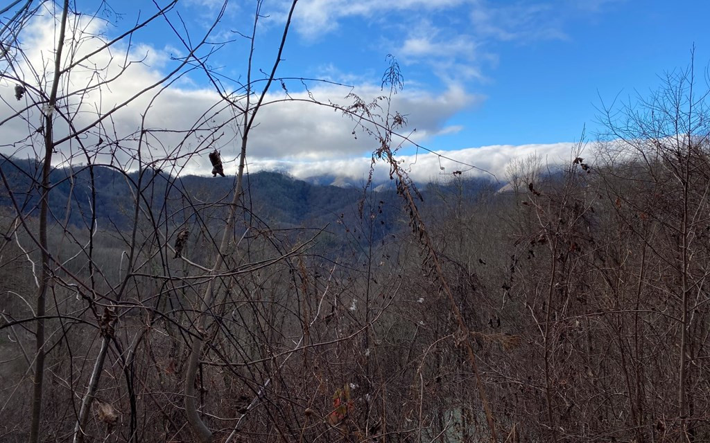 Lot Off Lot Off Buck Naked Road Bryson City, NC 28713 - Photo 6 of 7