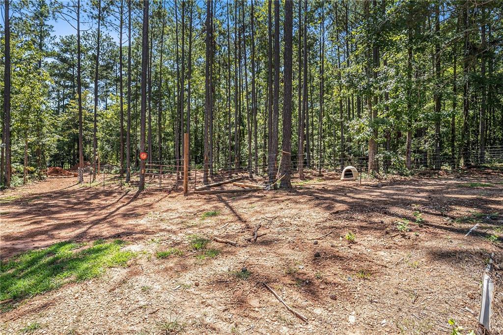 23 Erskine Road Monticello, GA 31064 - Photo 33 of 38 a view of outdoor space with trees