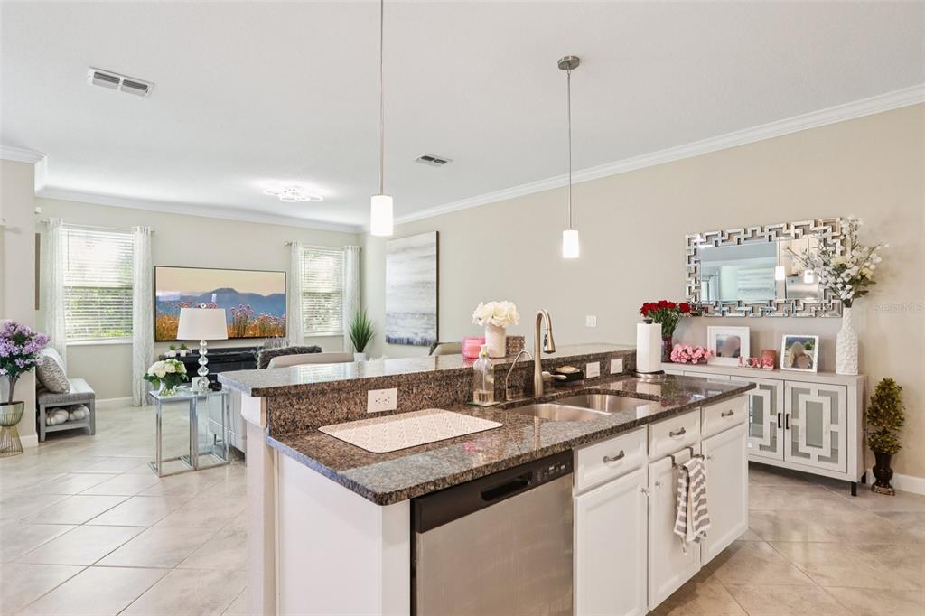 1306 White Fox Run Lutz, FL 33549 - Photo 13 of 35 a kitchen with sink stove and cabinets