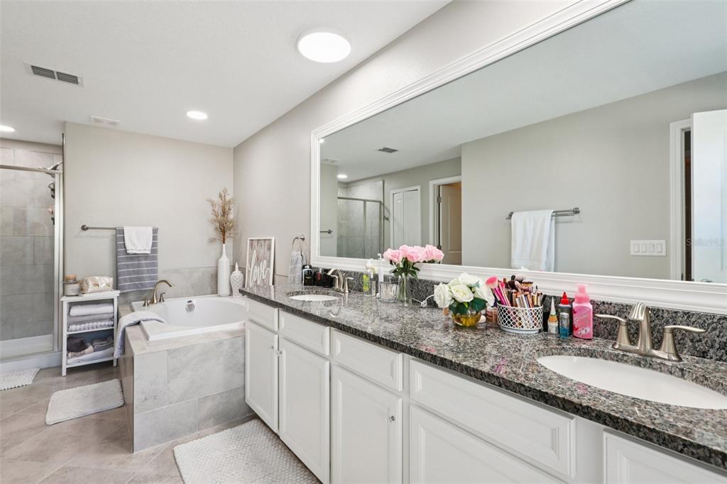 1306 White Fox Run Lutz, FL 33549 - Photo 21 of 35 a bathroom with a granite countertop sink double and mirror