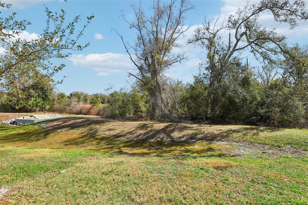 1306 White Fox Run Lutz, FL 33549 - Photo 29 of 35 a view of a yard with an trees
