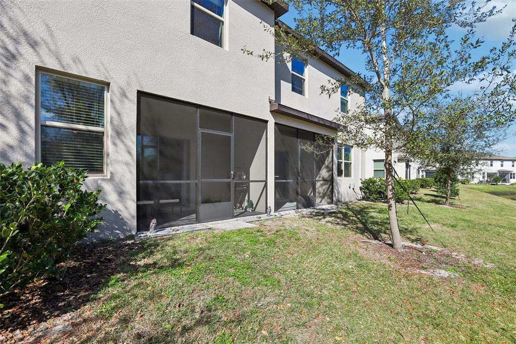 1306 White Fox Run Lutz, FL 33549 - Photo 30 of 35 a view of an house with backyard and a tree