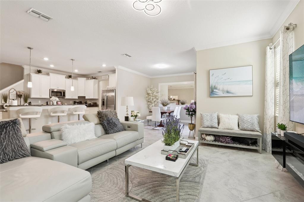 1306 White Fox Run Lutz, FL 33549 - Photo 4 of 35 a living room with furniture kitchen view and a potted plant