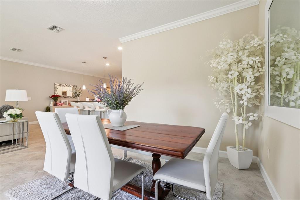 1306 White Fox Run Lutz, FL 33549 - Photo 6 of 35 a dining room with furniture and wooden floor