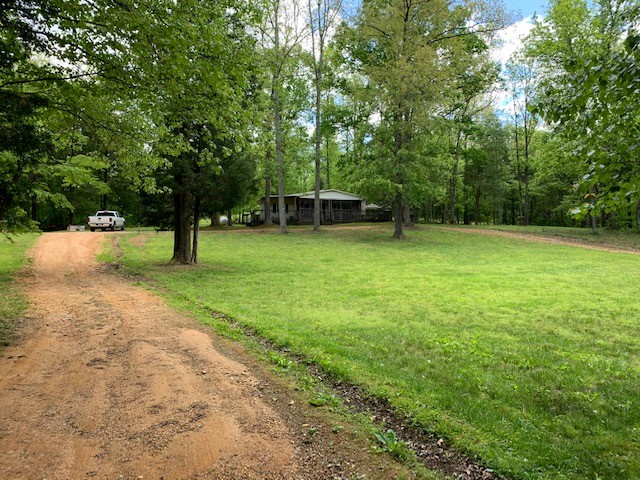 119 Tracy Road Hohenwald, TN 38462 - Photo 3 of 42 Gallery Image 3