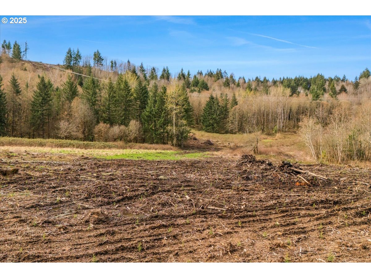 0 Southeast Herrick Road Sandy, OR 97055 - Photo 28 of 35 Gallery Image 28