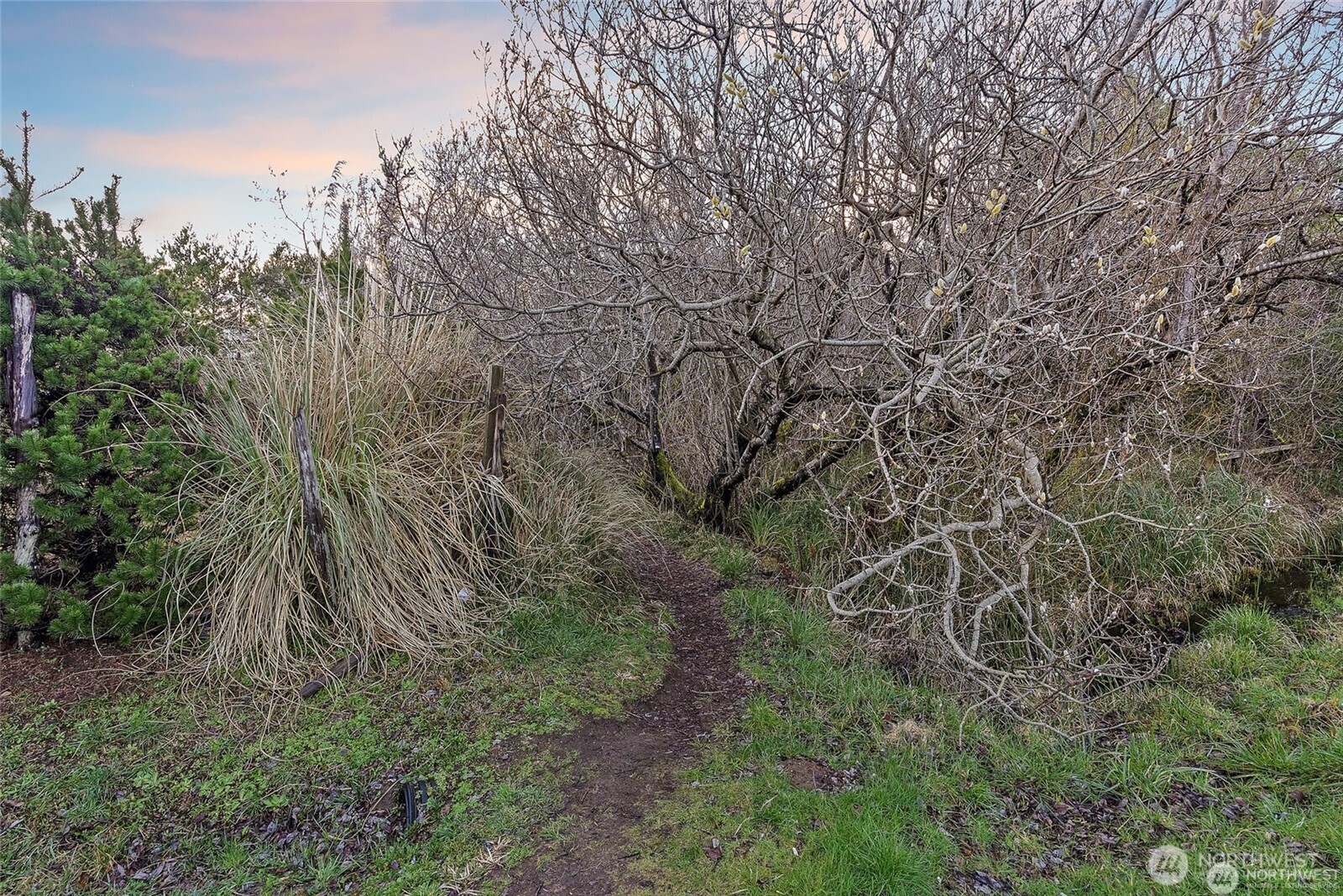 36 Breezy Lane Grayland, WA 98547 - Photo 18 of 34