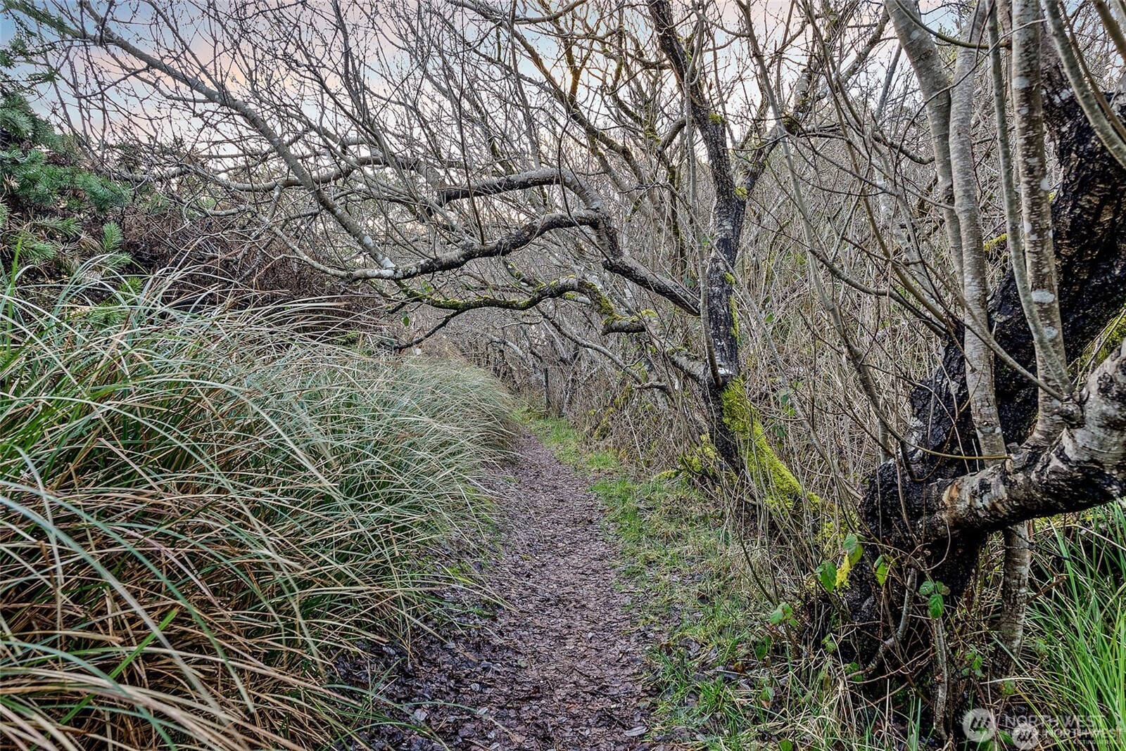 36 Breezy Lane Grayland, WA 98547 - Photo 19 of 34