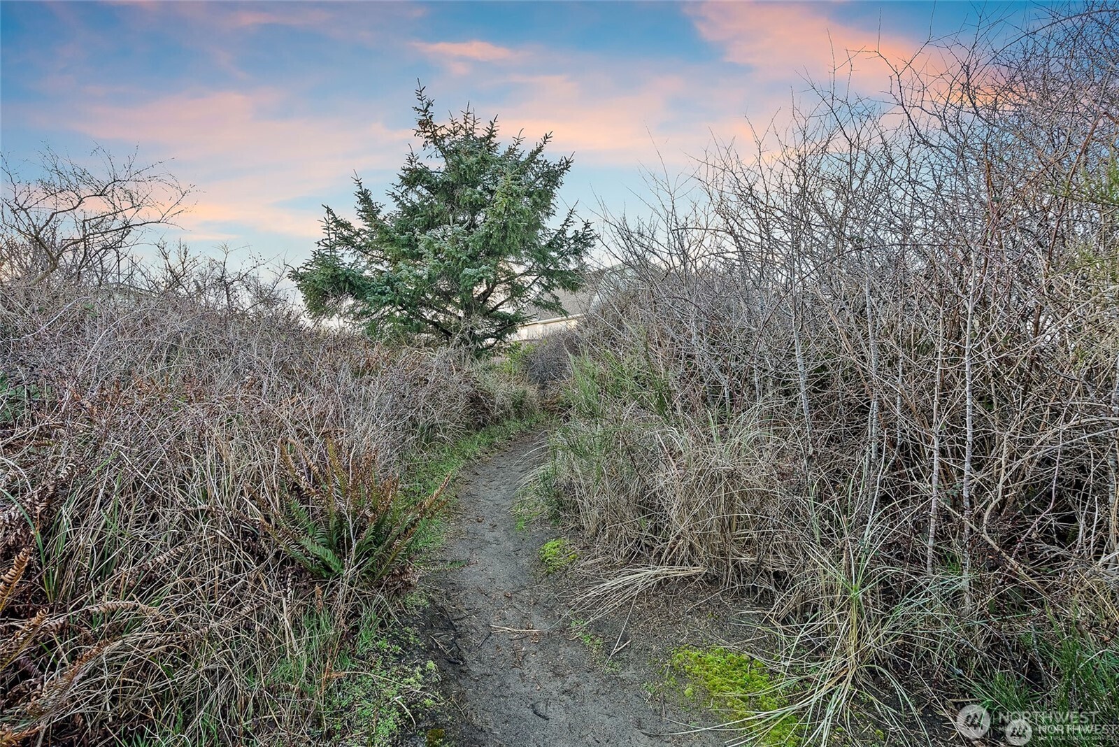 36 Breezy Lane Grayland, WA 98547 - Photo 20 of 34