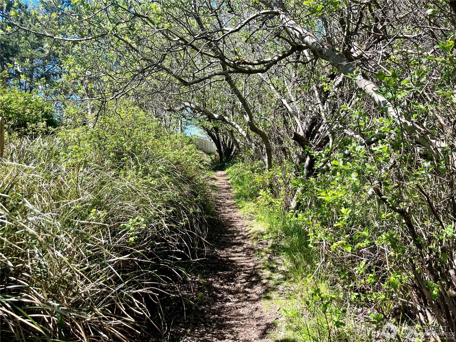 36 Breezy Lane Grayland, WA 98547 - Photo 31 of 34