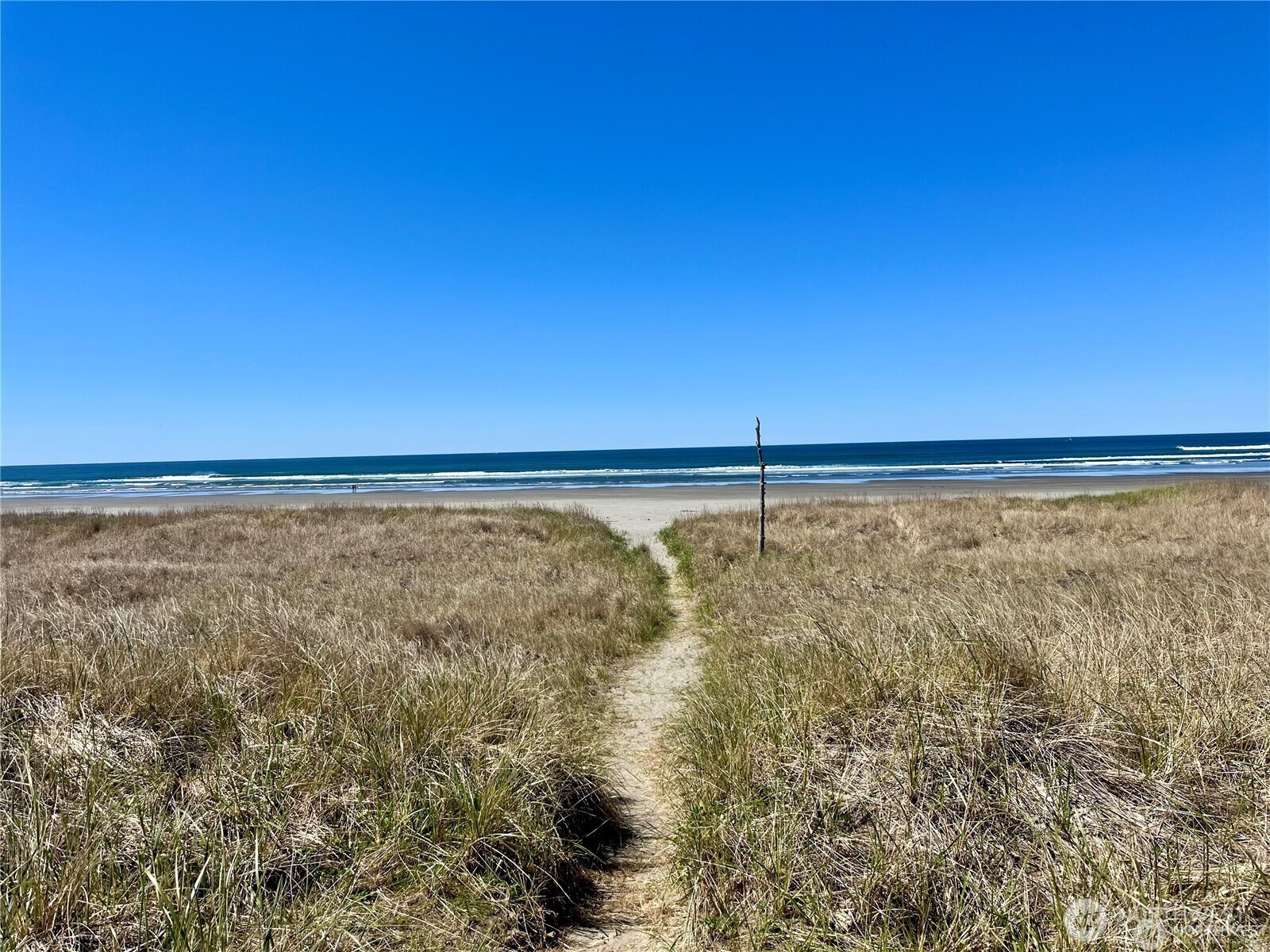 36 Breezy Lane Grayland, WA 98547 - Photo 32 of 34