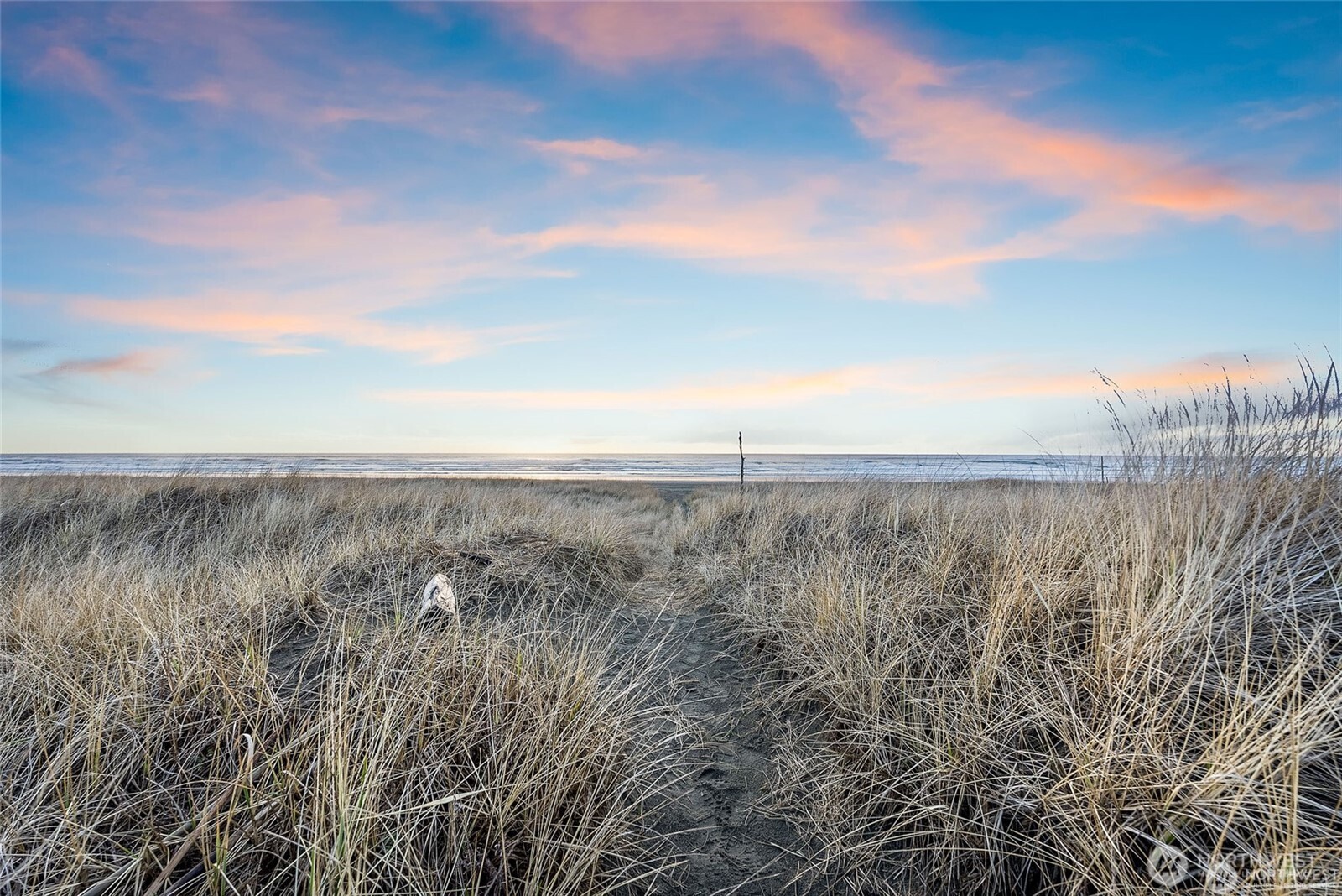 36 Breezy Lane Grayland, WA 98547 - Photo 34 of 34