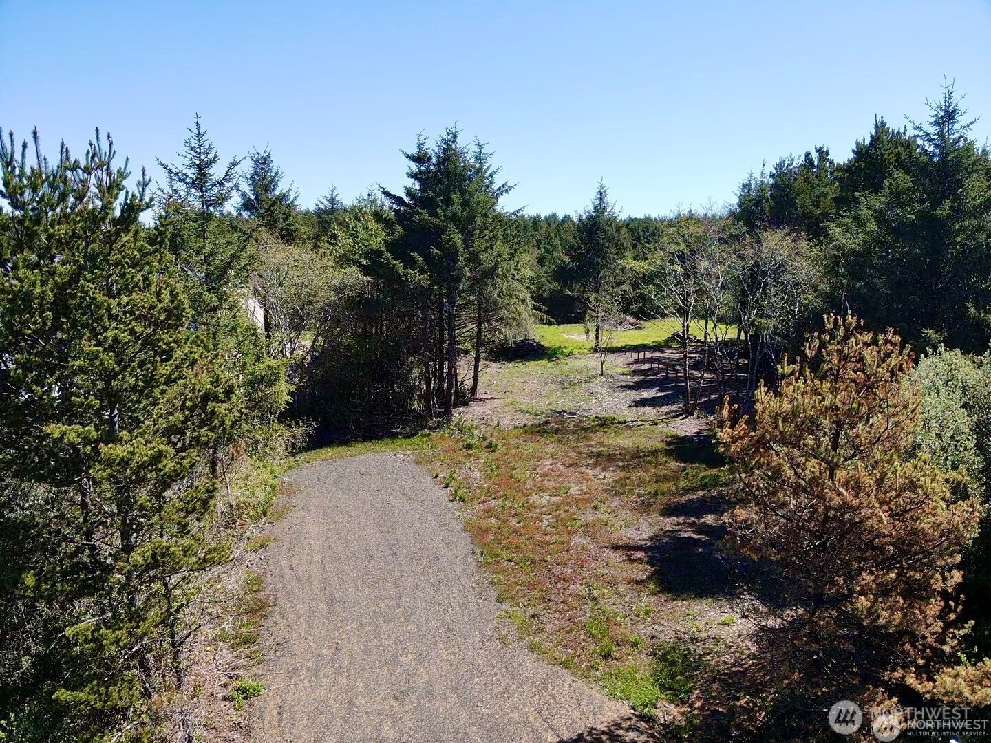 36 Breezy Lane Grayland, WA 98547 - Photo 7 of 34