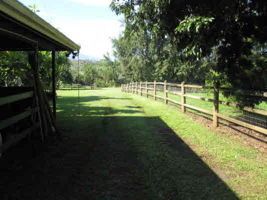 4731 G Kuawa Road, Unit E Kilauea, HI 96754 - Photo 12 of 25