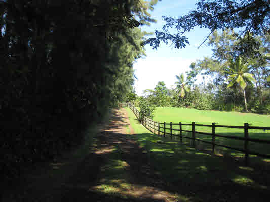 4731 G Kuawa Road, Unit E Kilauea, HI 96754 - Photo 25 of 25