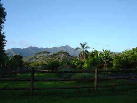 4731 G Kuawa Road, Unit E Kilauea, HI 96754 - Photo 5 of 25