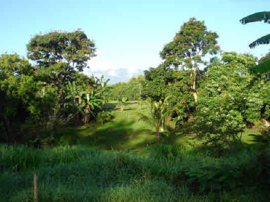 4731 G Kuawa Road, Unit E Kilauea, HI 96754 - Photo 6 of 25