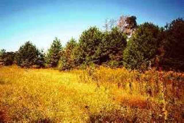 Lot921 South Diamond Point Mapleton, IL 61547 - Photo 1 of 1